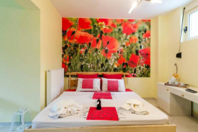 Modern confort Studio with lazy spa on demand